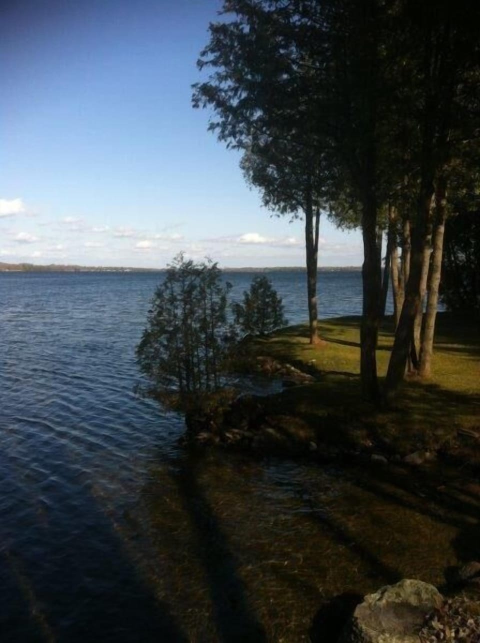 Shoreline
