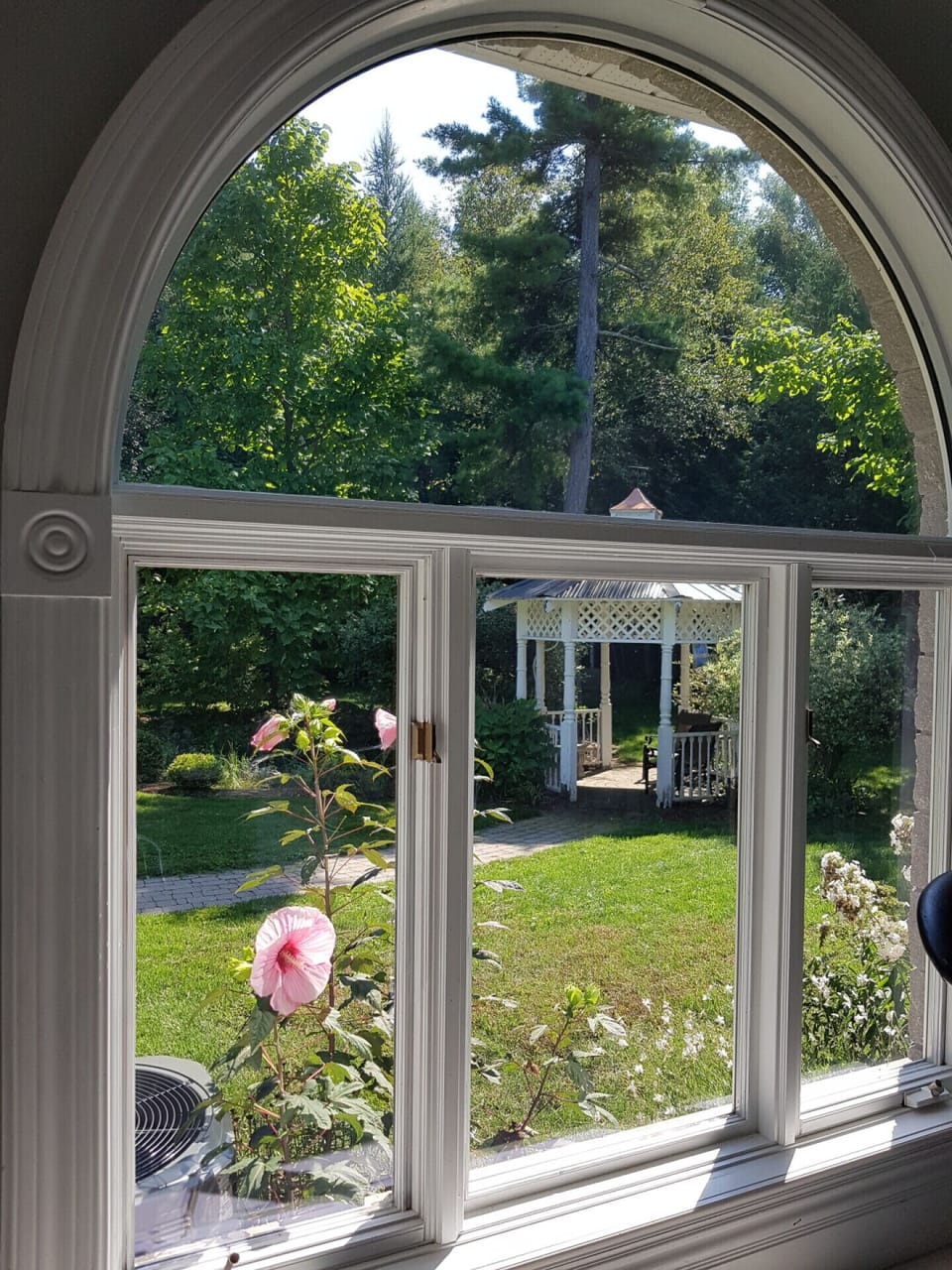 Kitchen window view of backyard