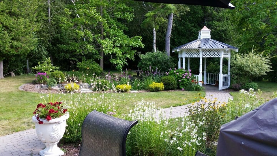 Backyard pond w fish and gazebo w chandelier