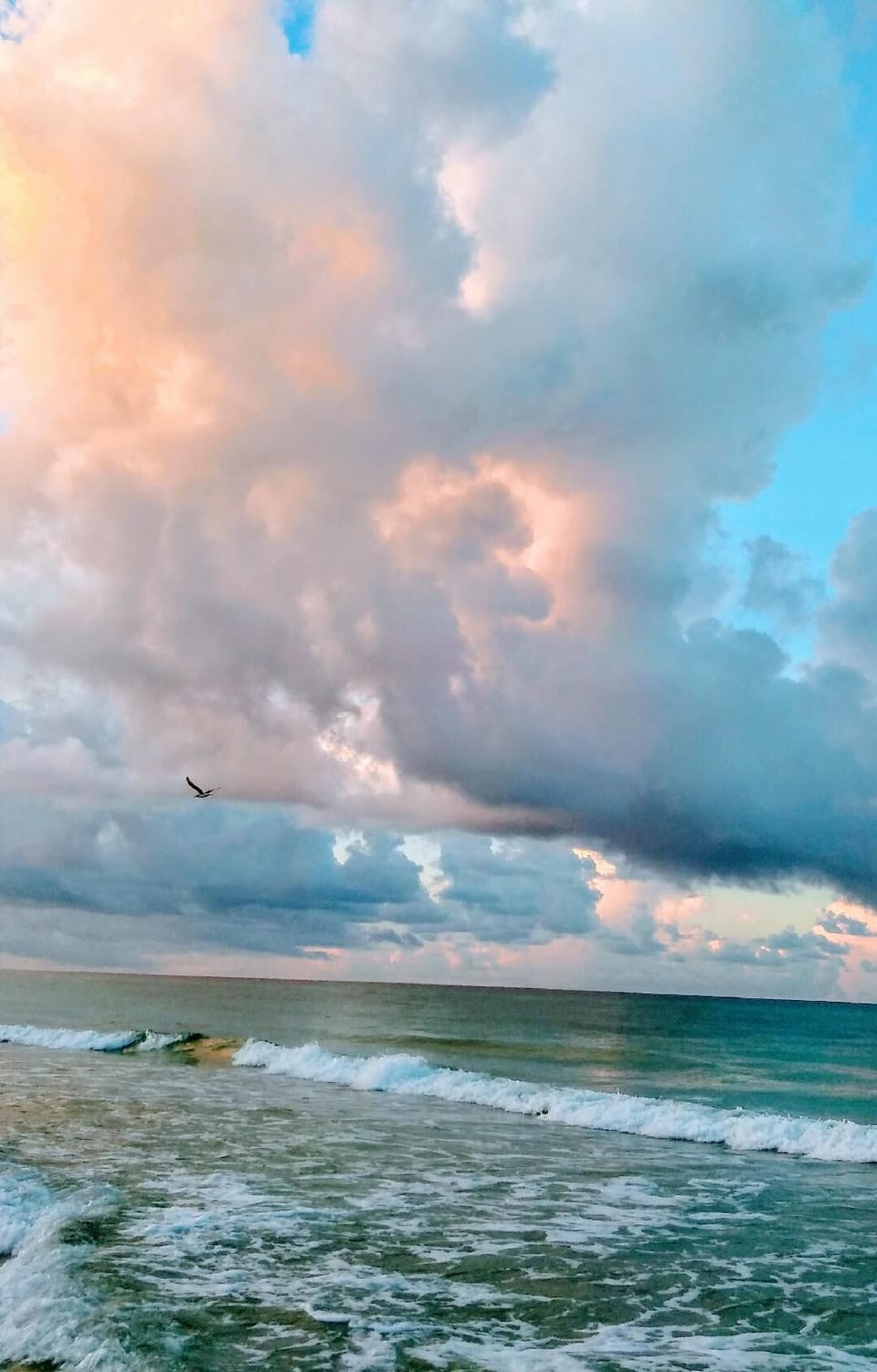 Slice of Paradise