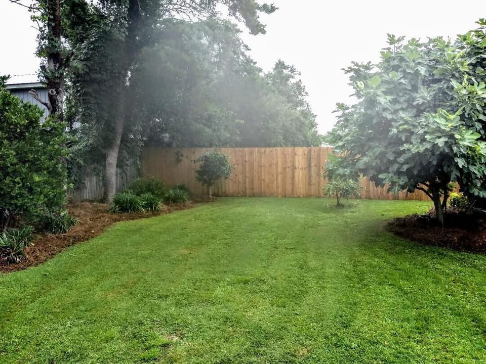 Back Yard