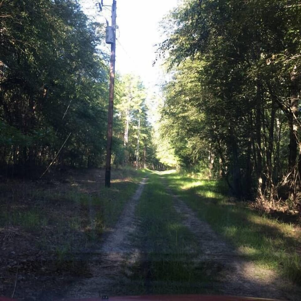 Lane to the cabin