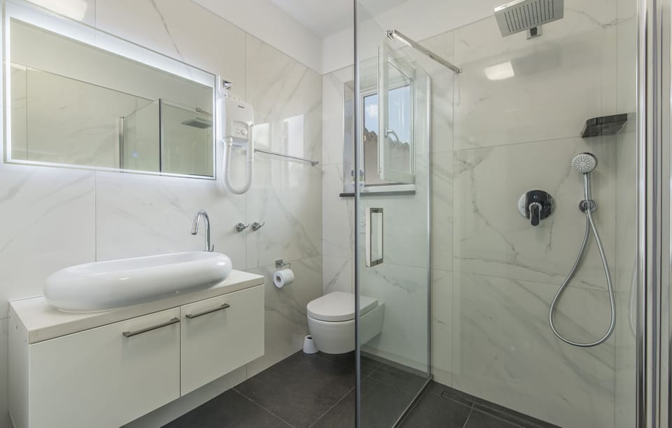 Shower, hair dryer, towels