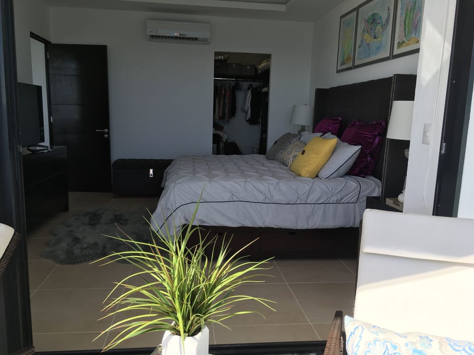 Bedroom with walking closet