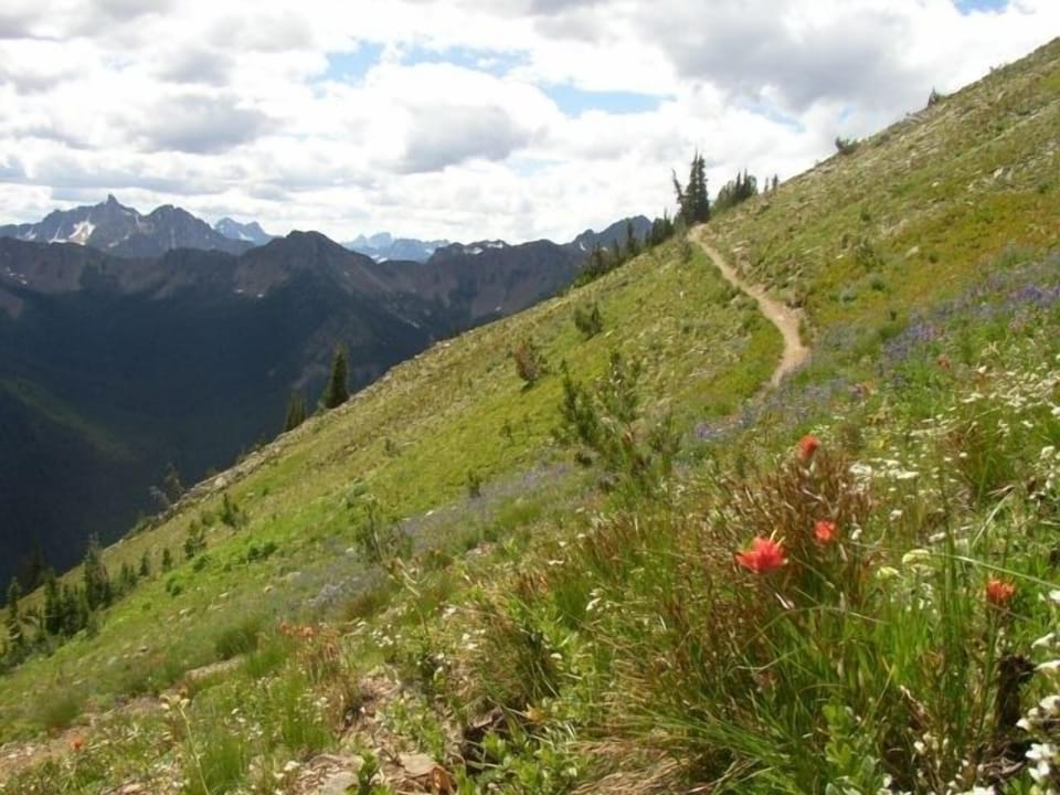 The Pacific Crest Trail