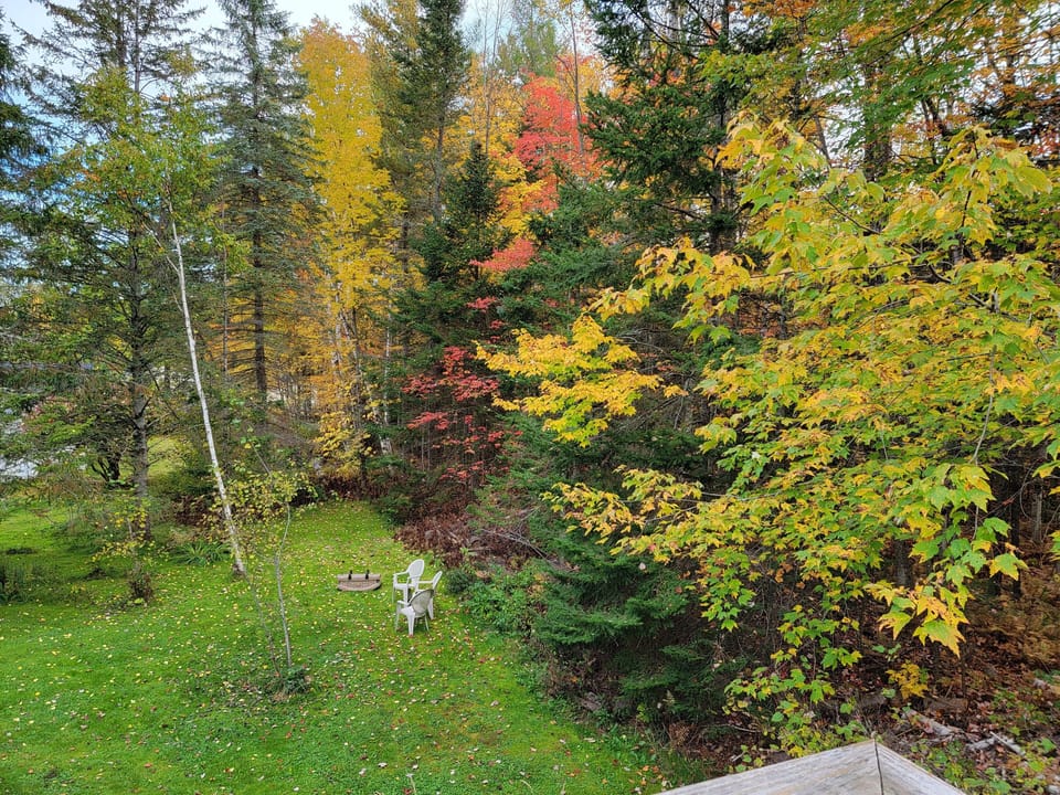 Foliage view from the back deck into your private back yard!