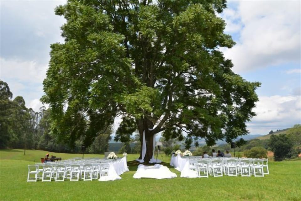 Outdoor wedding area