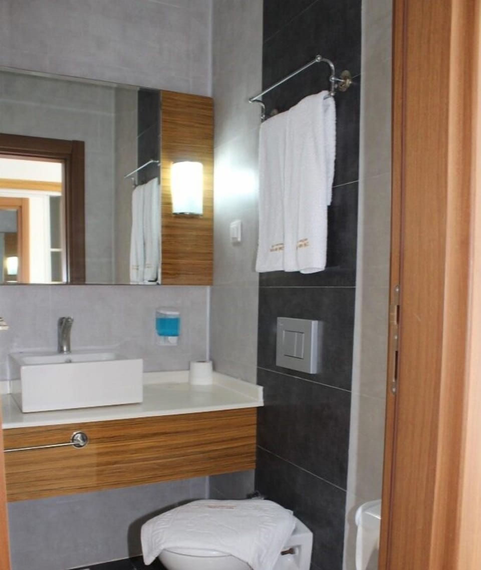Executive Double Room | Bathroom | Shower, free toiletries, hair dryer, slippers
