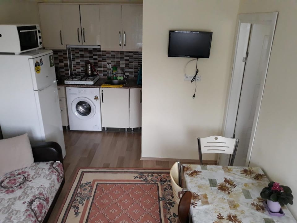 Fridge, oven, stovetop, electric kettle