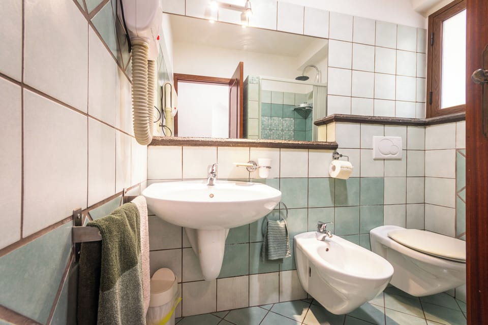 Double or Twin Room | Bathroom | Shower, free toiletries, hair dryer, bidet