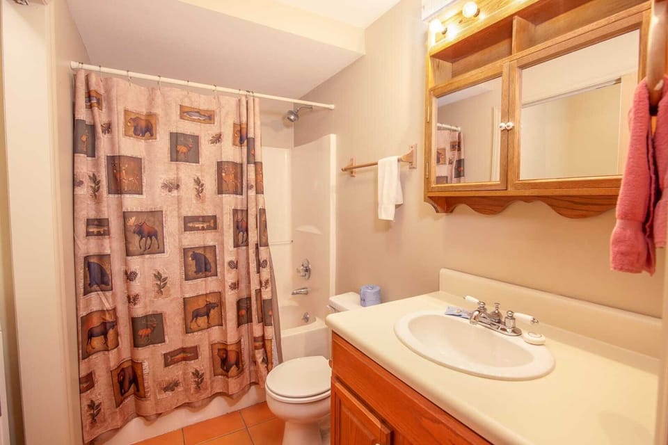 Downstairs Full Bathroom