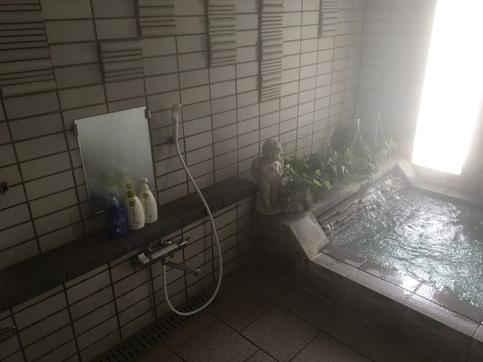 Indoor spa tub