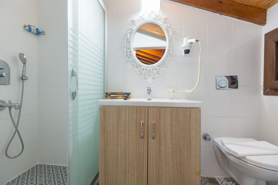 Combined shower/tub, deep soaking tub, free toiletries, hair dryer