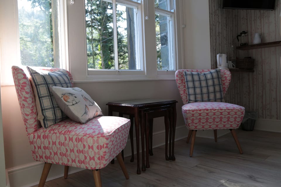 Double Room, River View (Room 4 Moel Hebog) | Living area | Flat-screen TV
