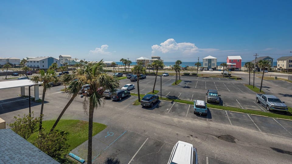 This view showcases a vibrant beachside scene with palm trees and a glimpse of the water beyond the parking area