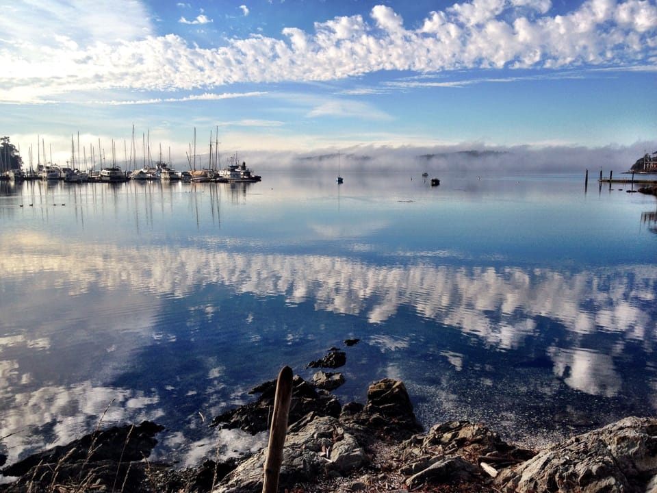 Orcas marina on a misty summer morning.