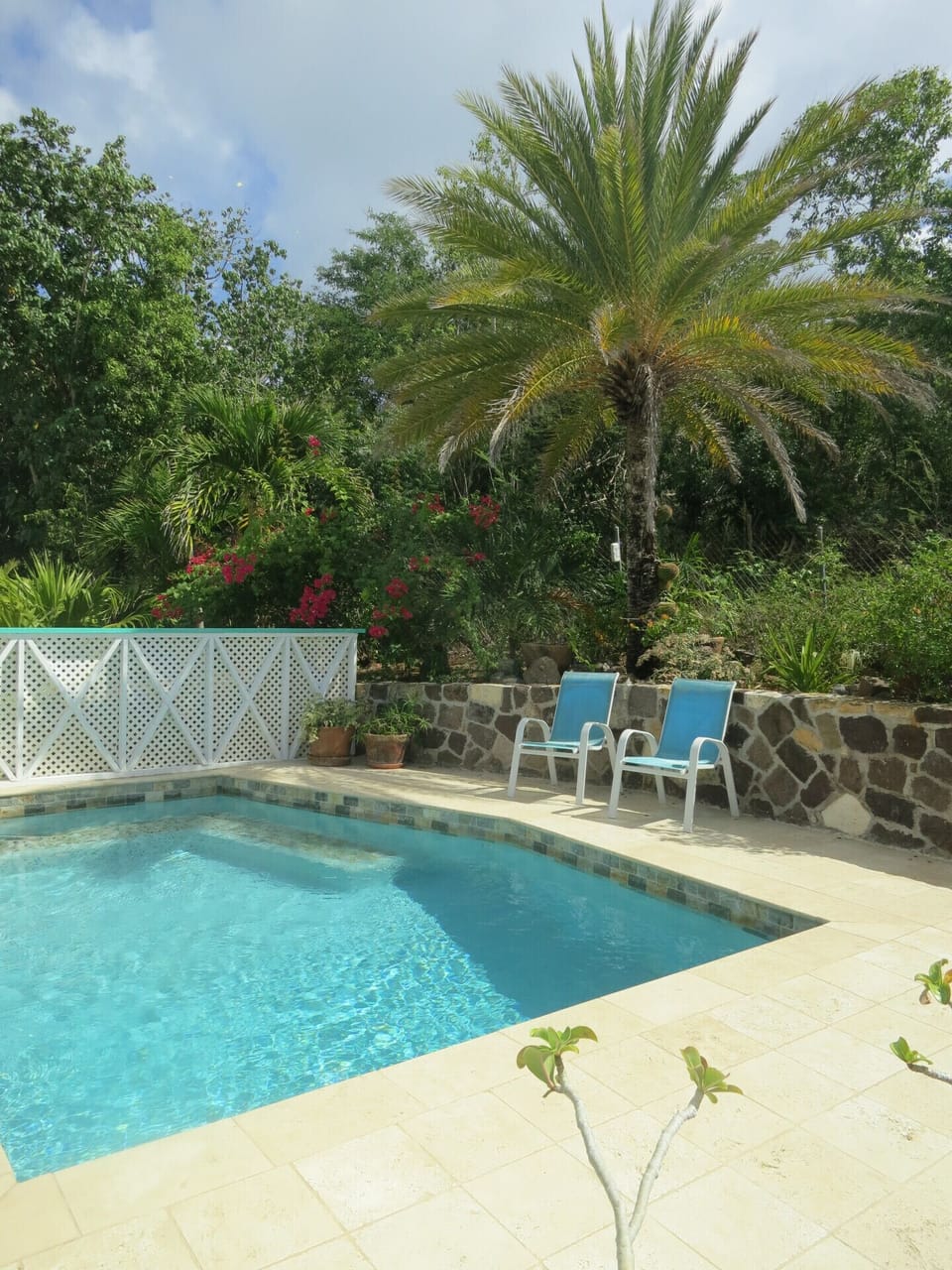 Recently renovated pool