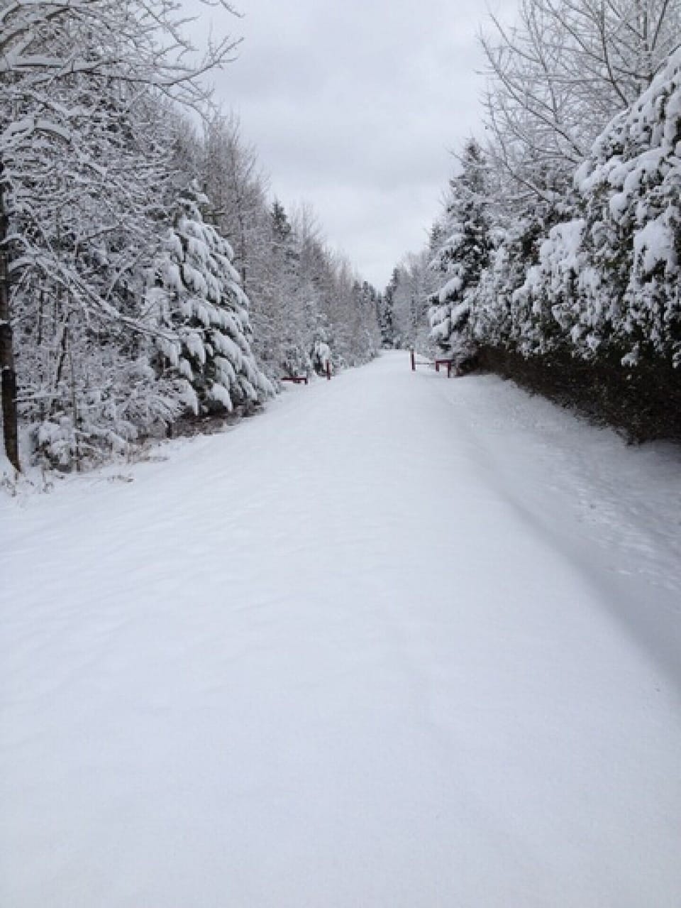 Winter x-country skiing or snowshoeing within a km of our door - le petit trail du nord