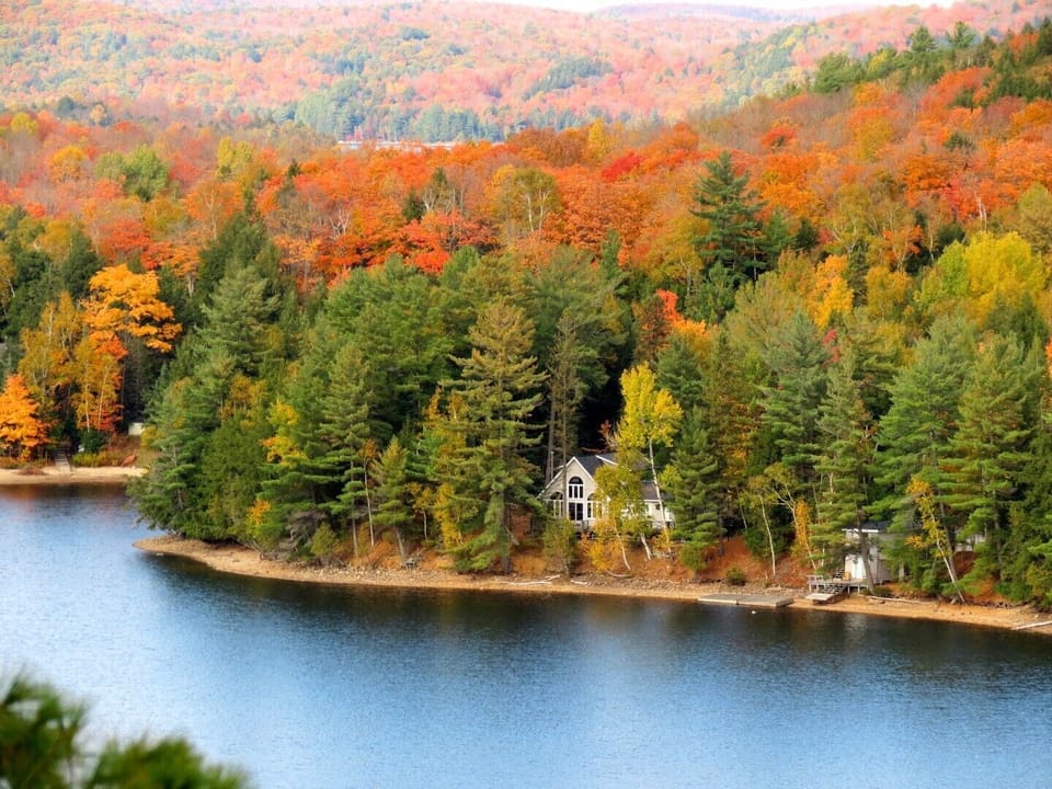 View of part of the lake
from a big cliff nearby.  Photo is of not our cottage.