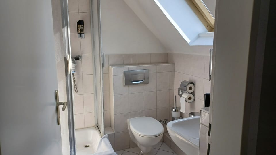 Standard Double Room | Bathroom | Shower, free toiletries, hair dryer, towels