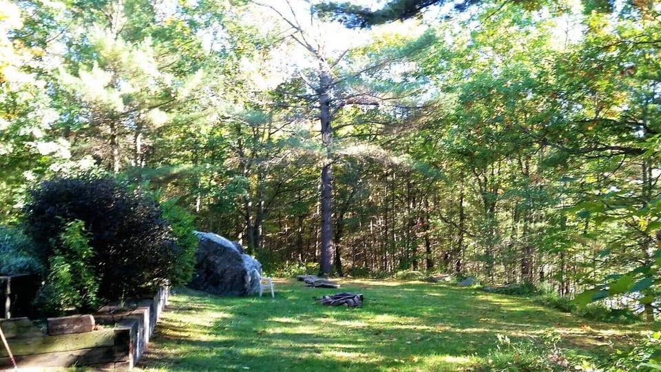 The lower back garden, complete with a fire pit for smores.