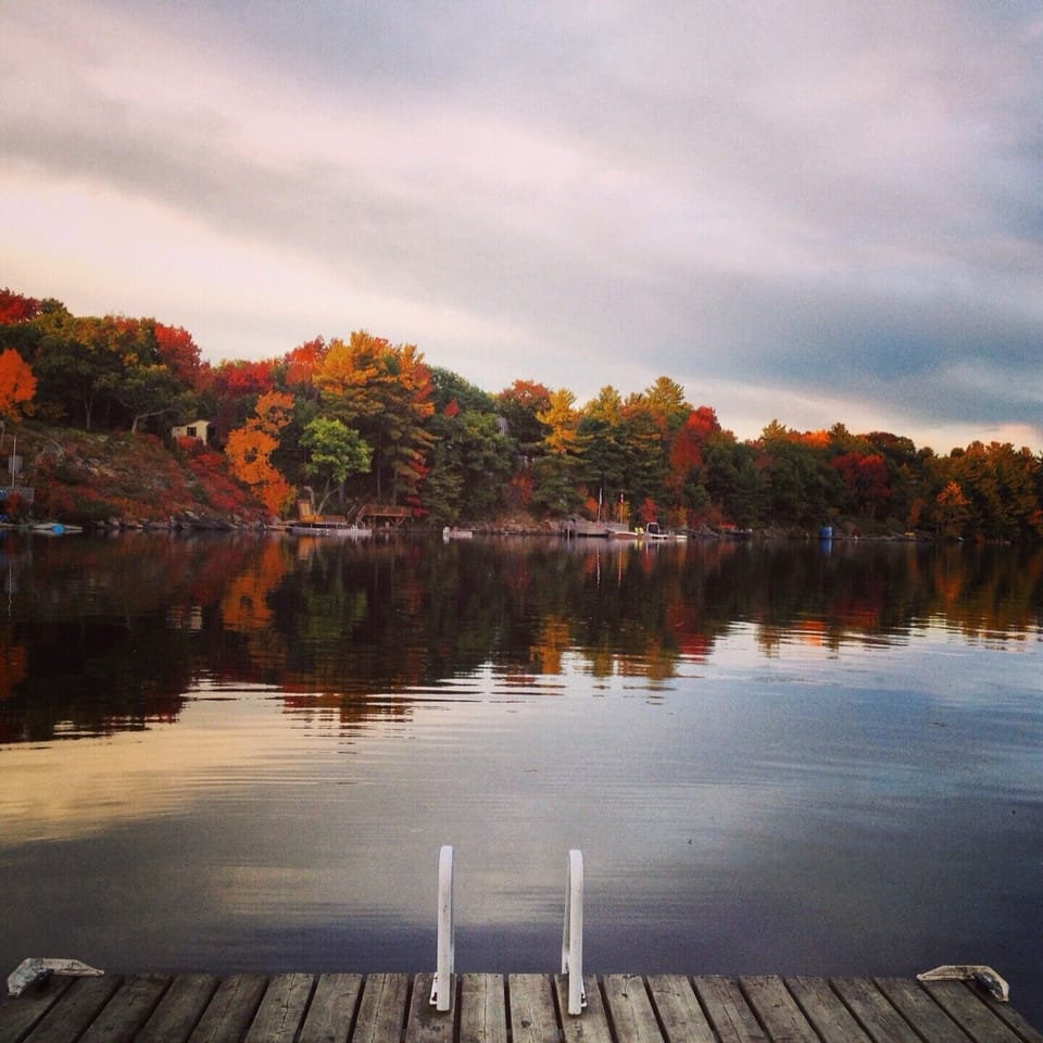 Fall Colours