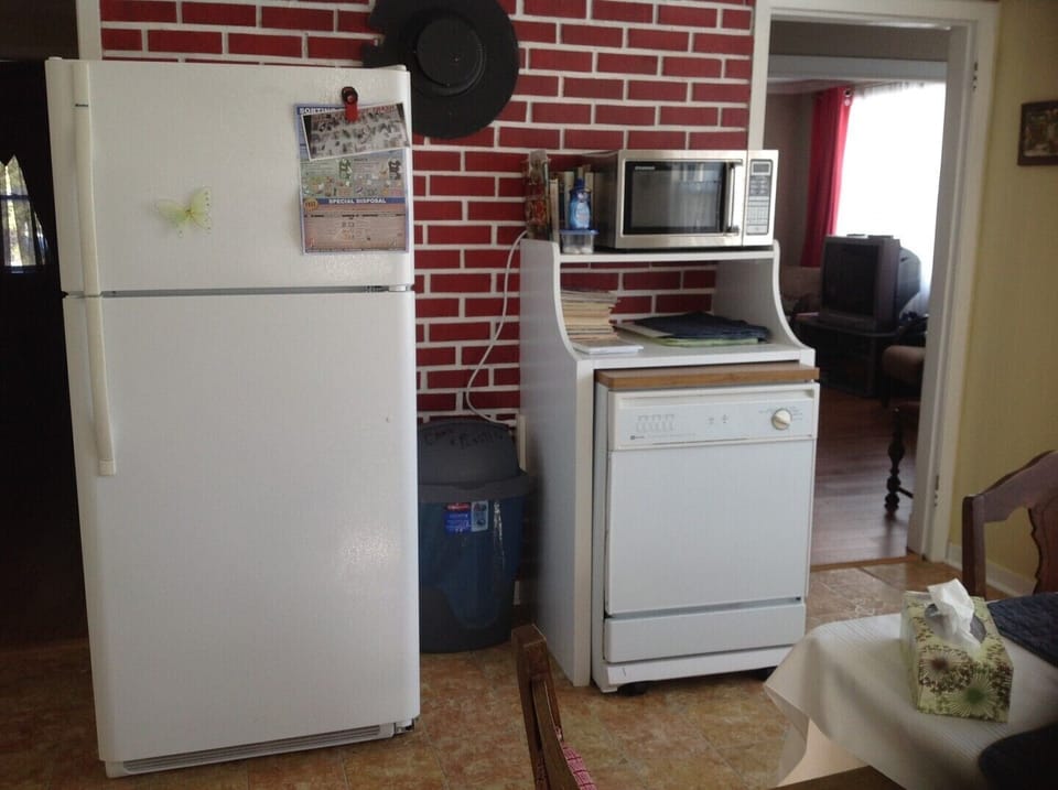 Microwave and fridge