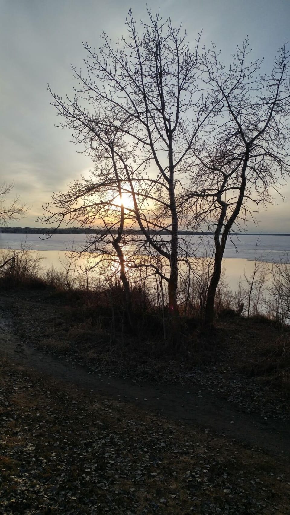 Night glow near water's edge steps away fromcottage