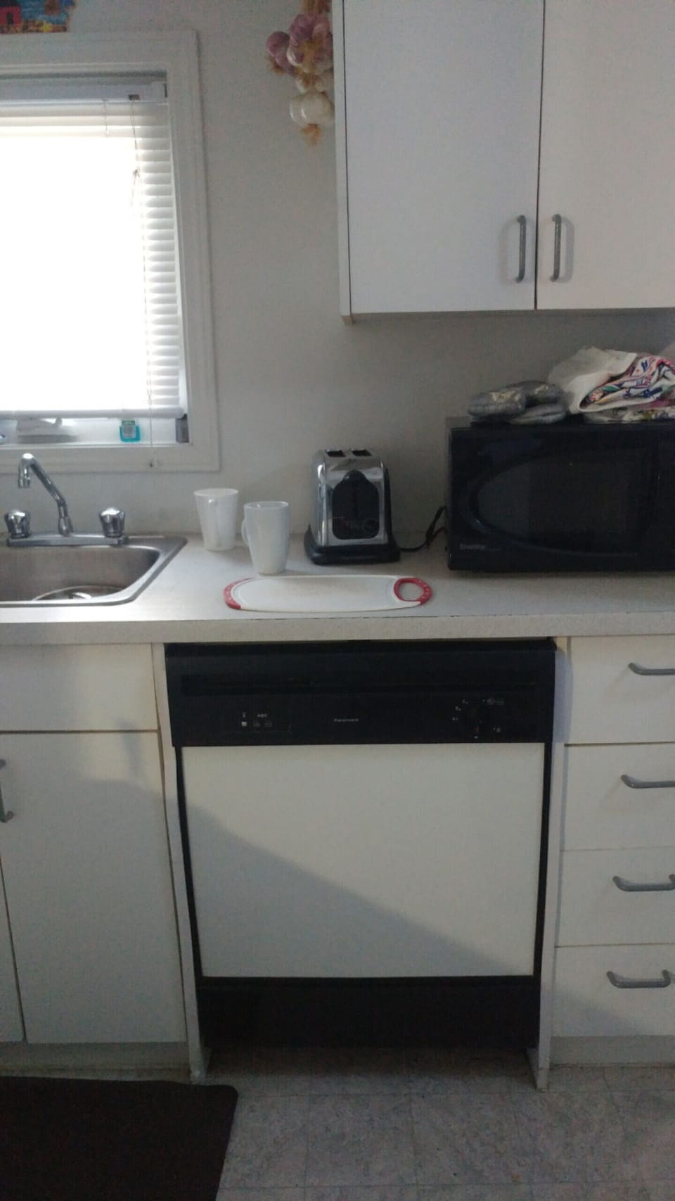 Dishwasher and counter microwave.