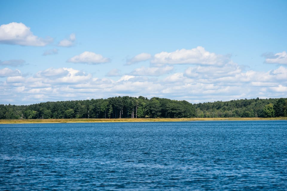 Area views