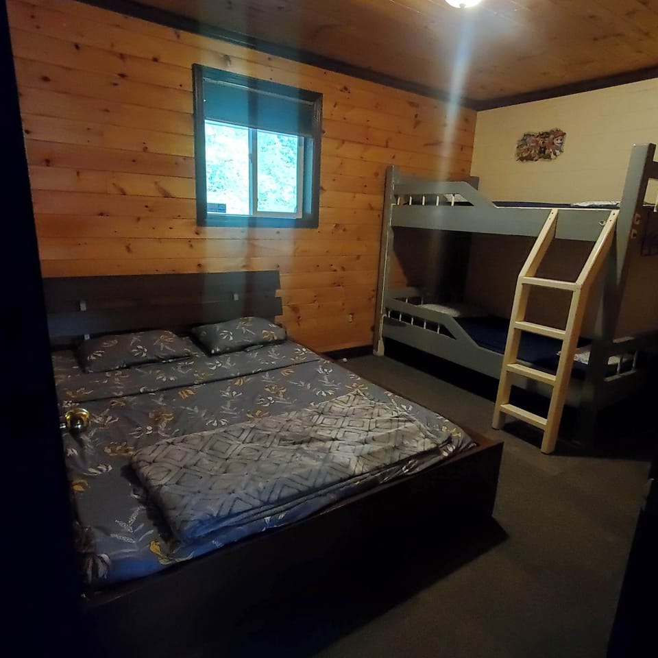 Bedroom #3 - 1 queen bed and 1 bunk bed