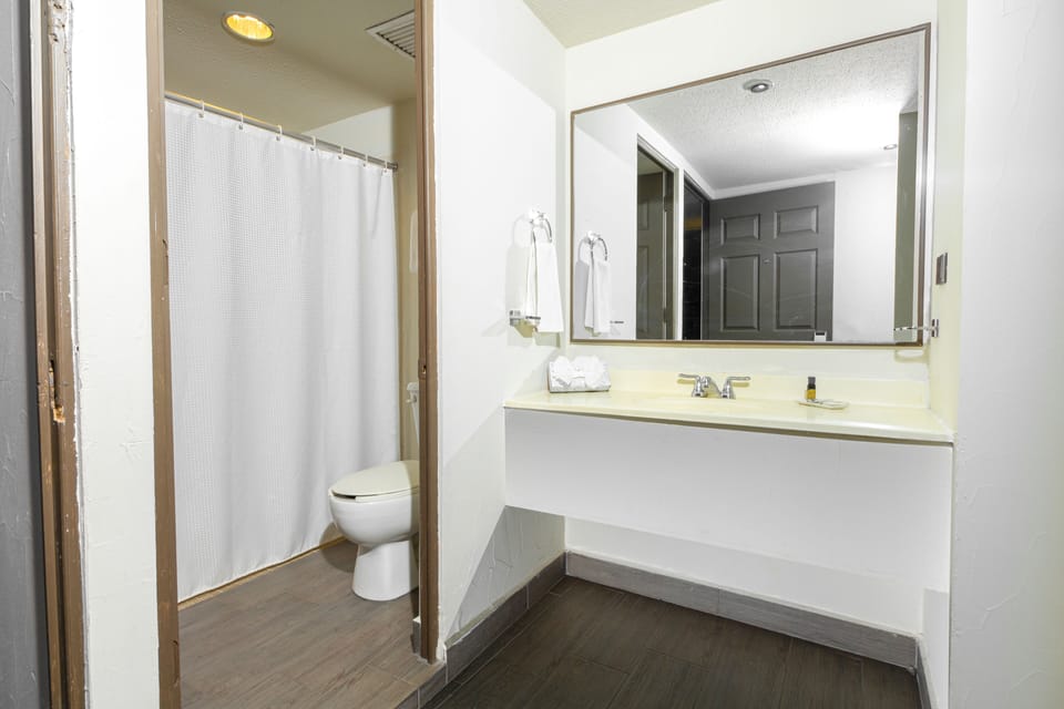 Junior Room, 1 King Bed, Private Bathroom | Bathroom | Shower, rainfall showerhead, free toiletries, towels
