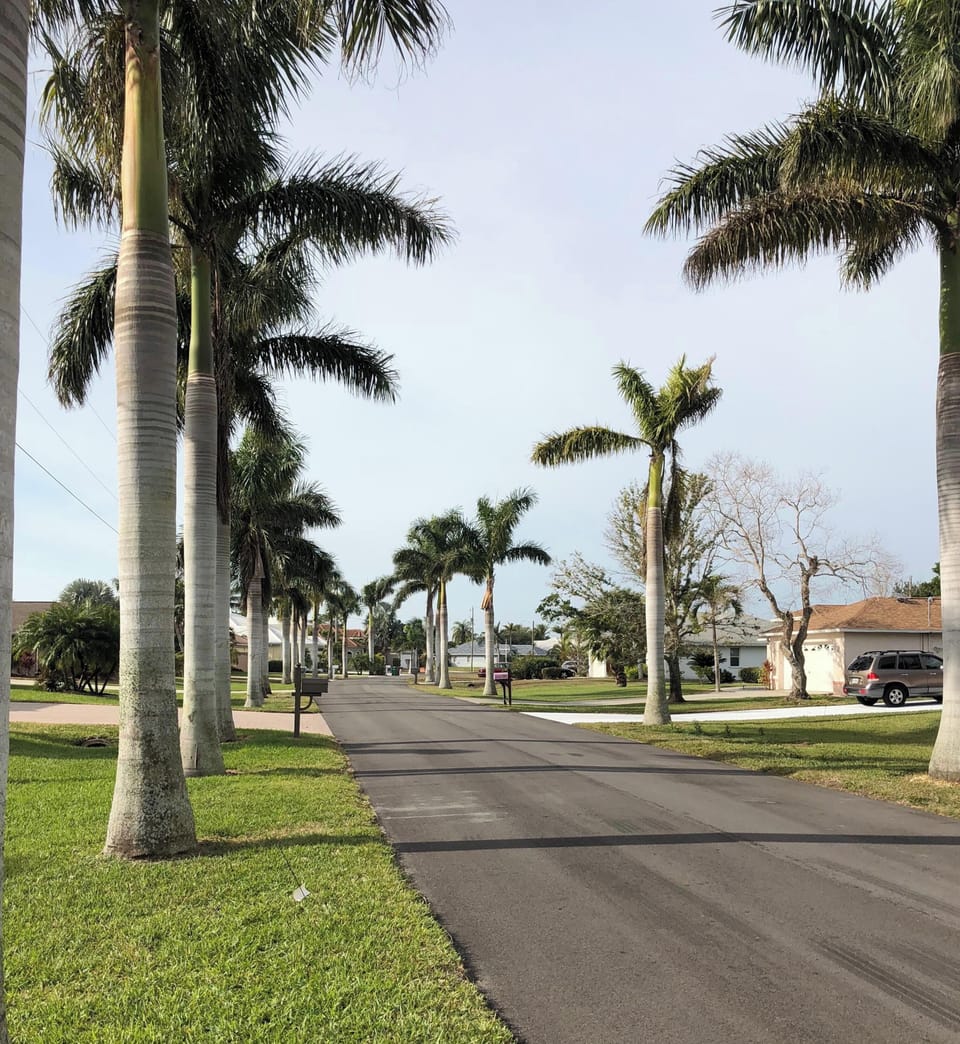 View out from to the west