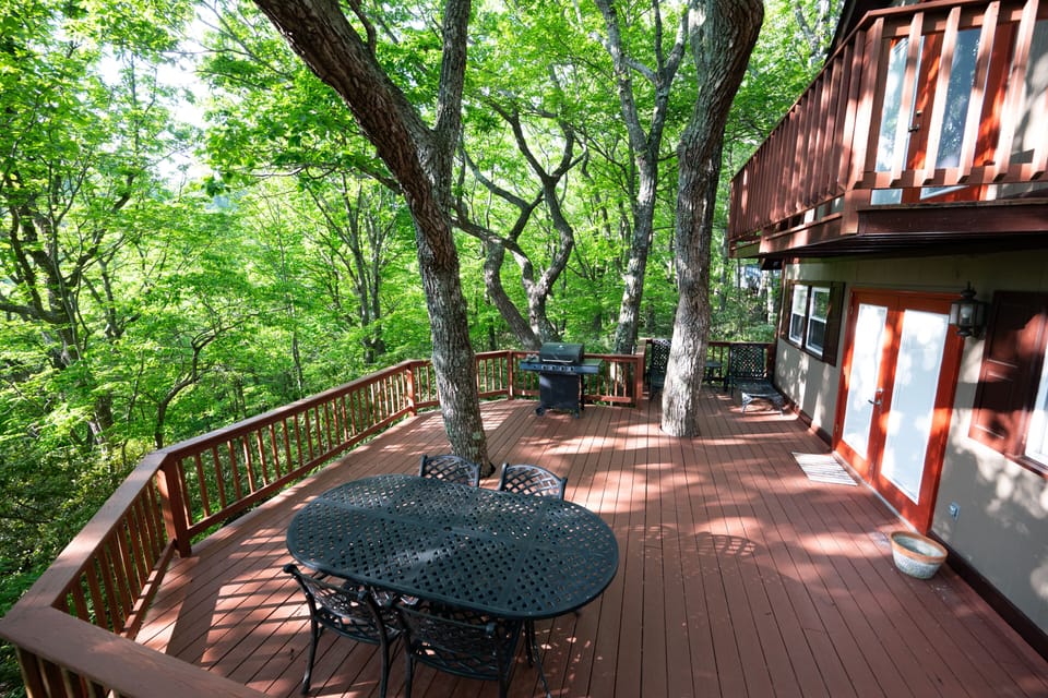 Back deck 