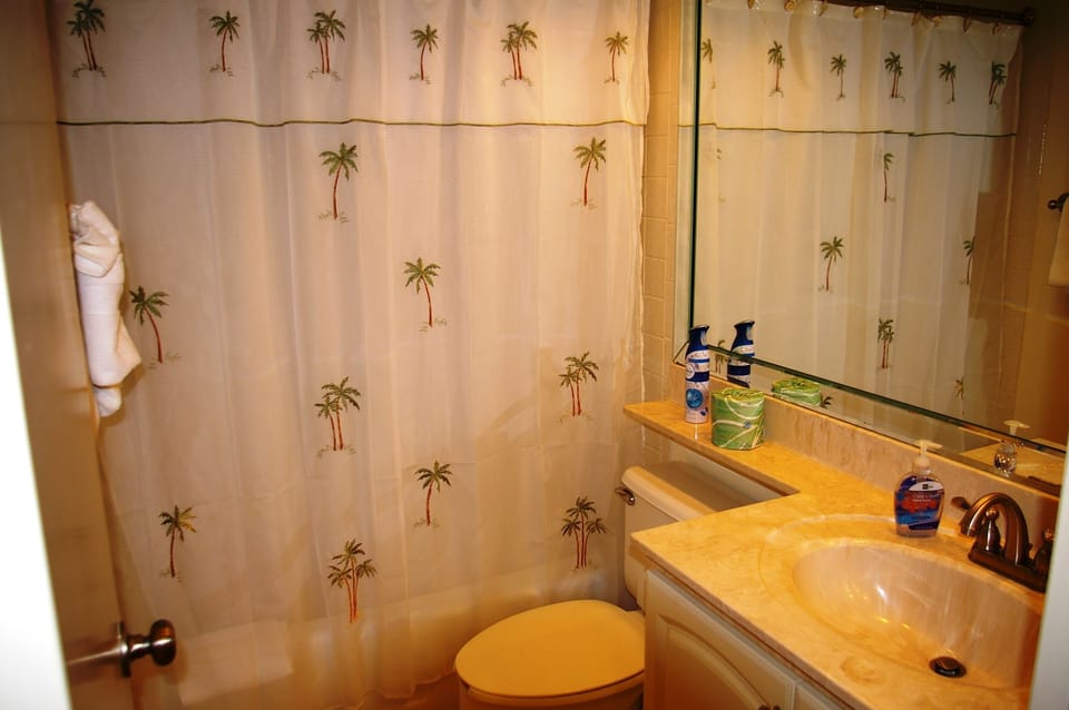 Private Guest bath shower/tub combo, hair dryer & all linens are supplied. 