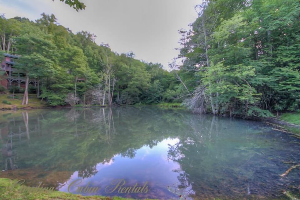 Martins Nest another of The Lakes - stocked with Trout and Bass