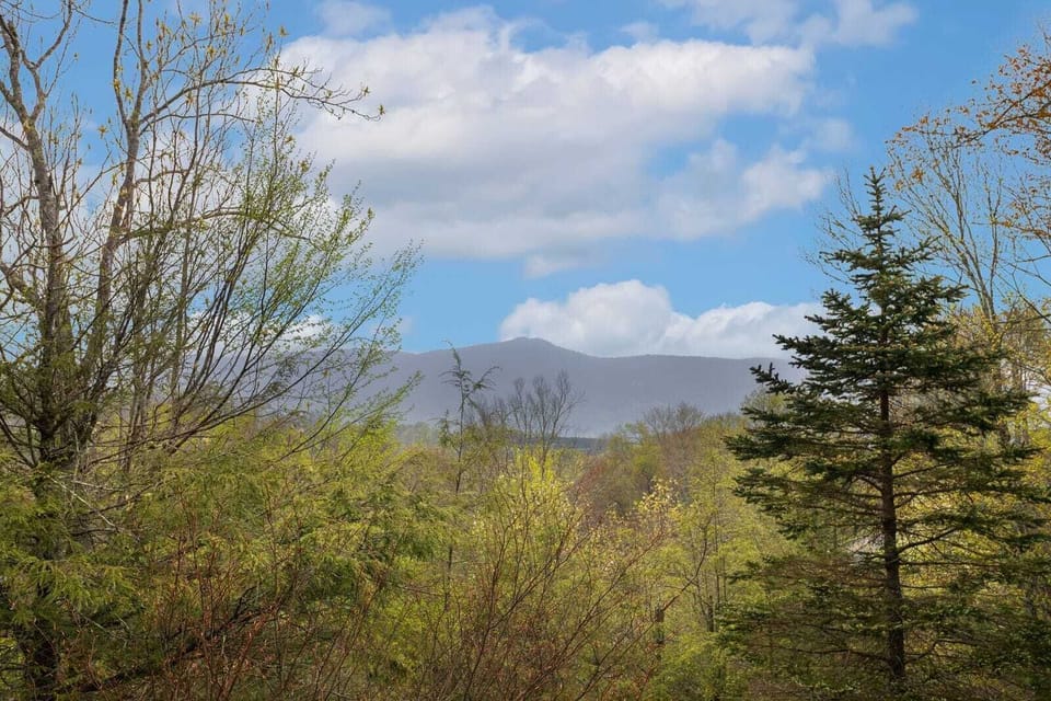 Mountain View from North View Lodge