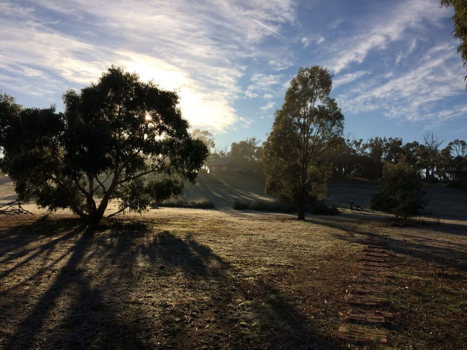 Grounds around the cottages