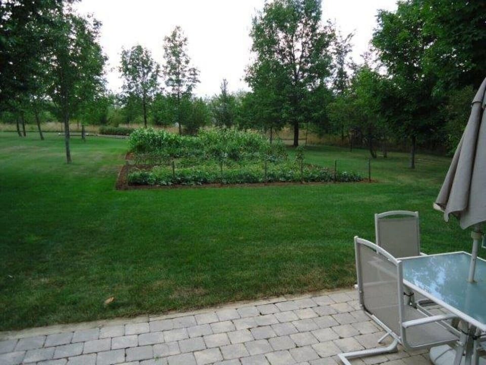 View from patio south over our vegetable gardens