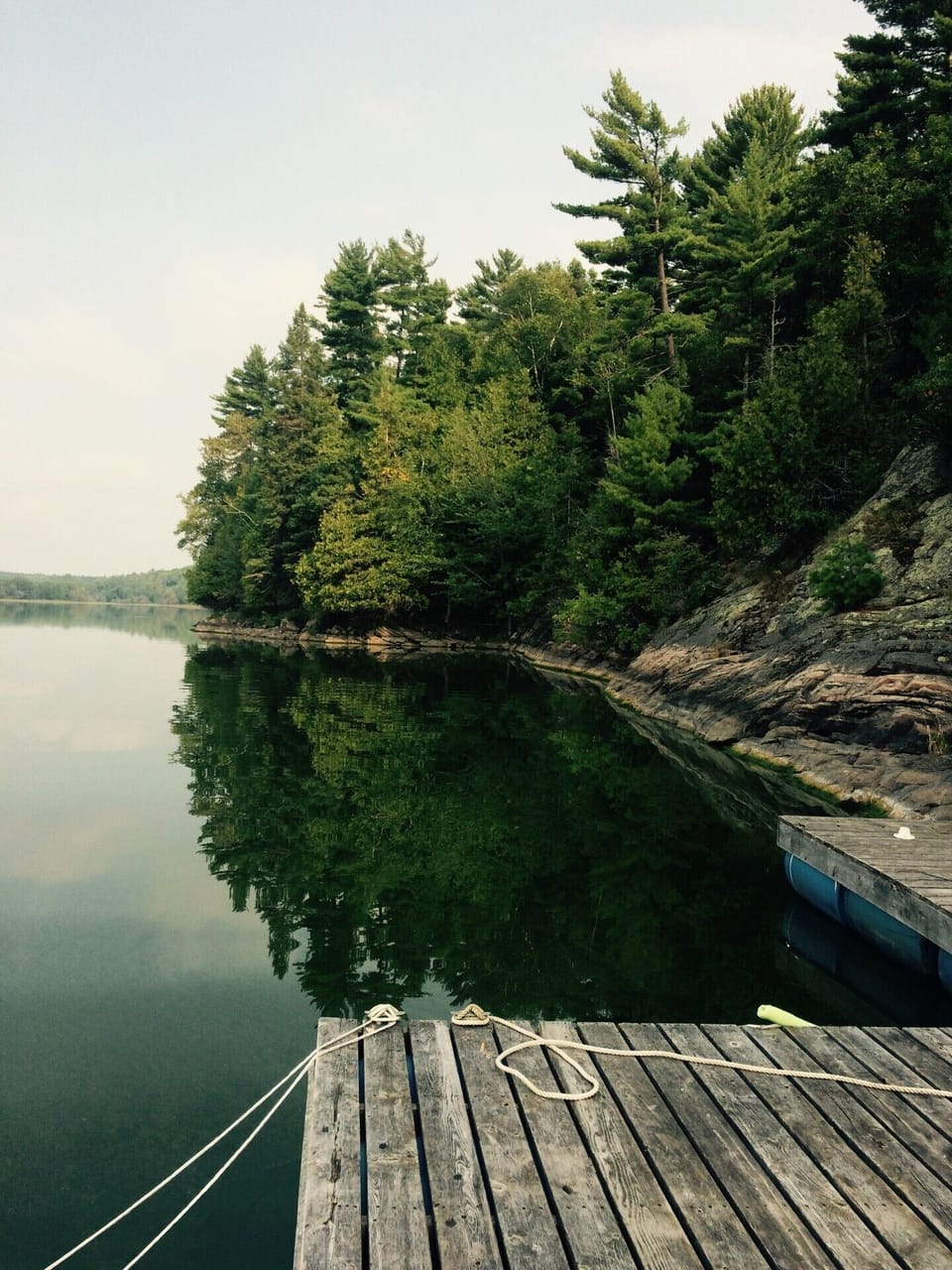 Dock view looking west  -  NO Neighbors