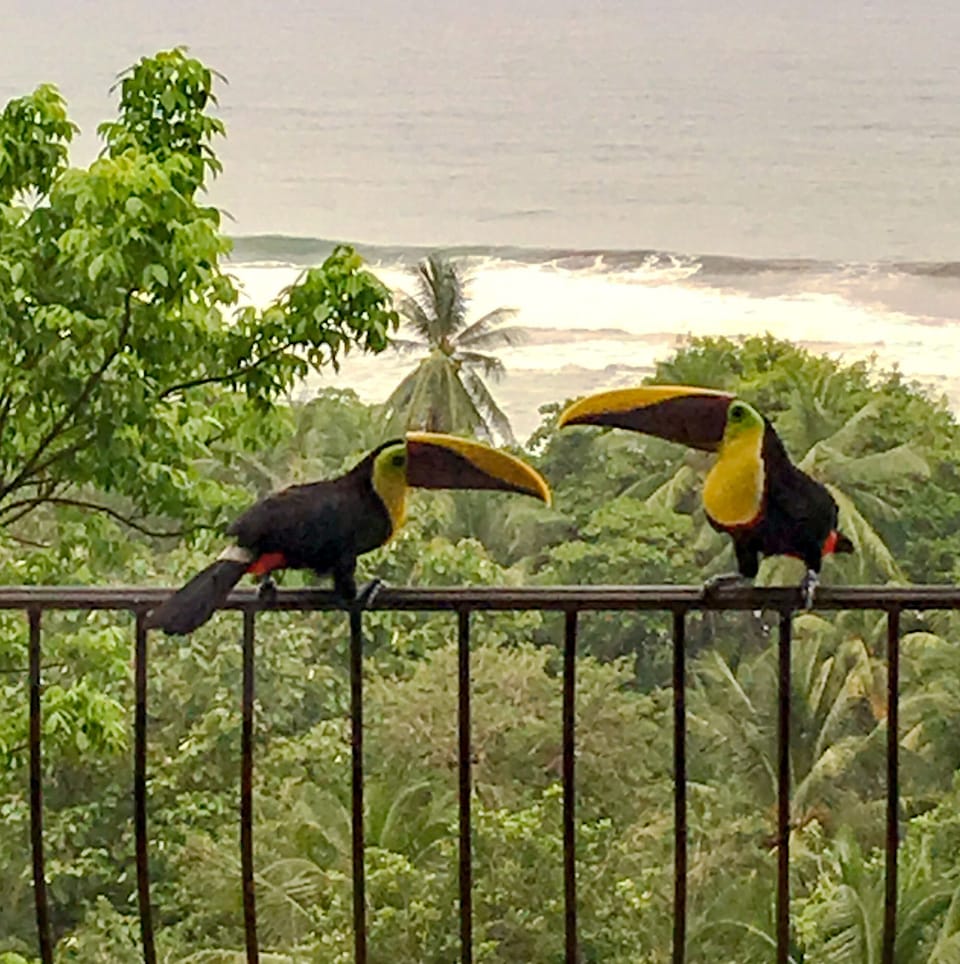 Friendly neighbors! 