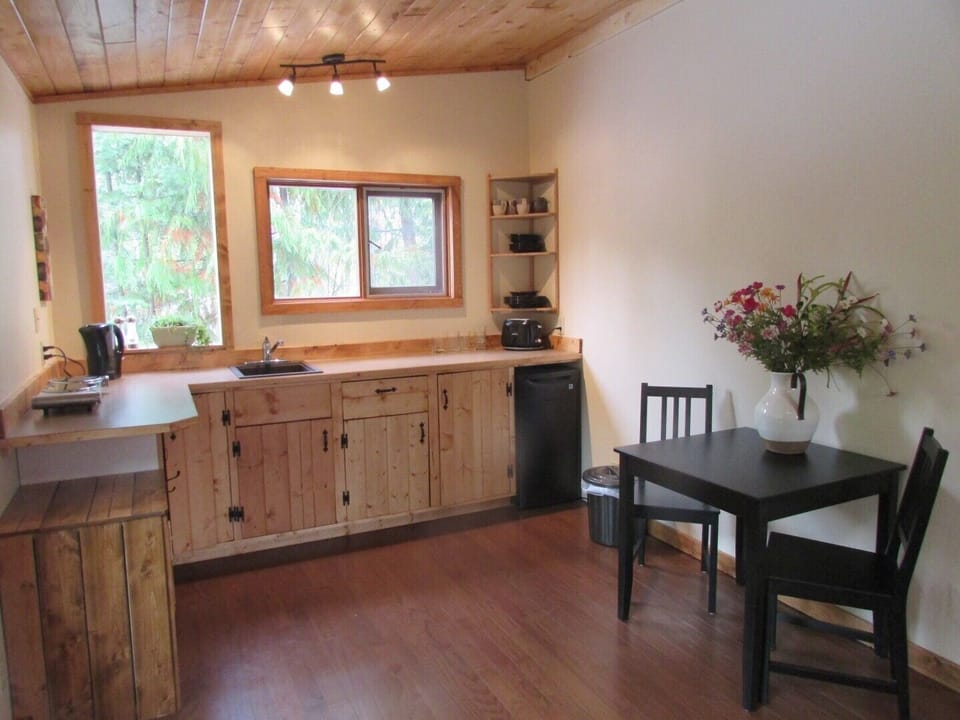 Small kitchen with 2 burner stove, no oven and small fridge, no freezer.