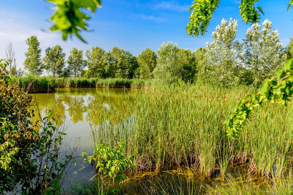 Our little lake