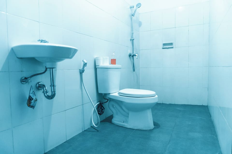 Standard Room | Bathroom | Shower, free toiletries, towels