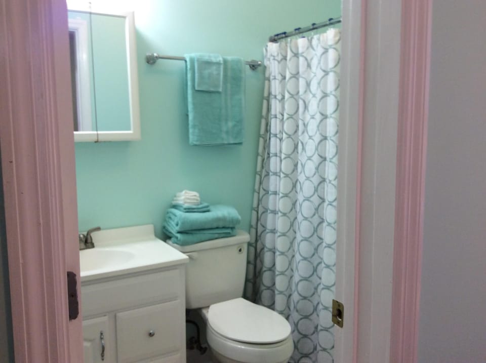 Master bathroom.