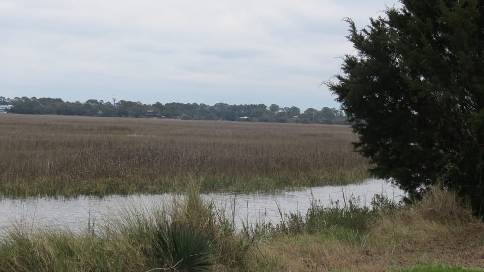 View from Front of House