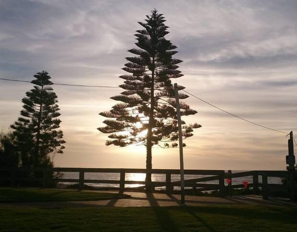 Normanville beach foreshore