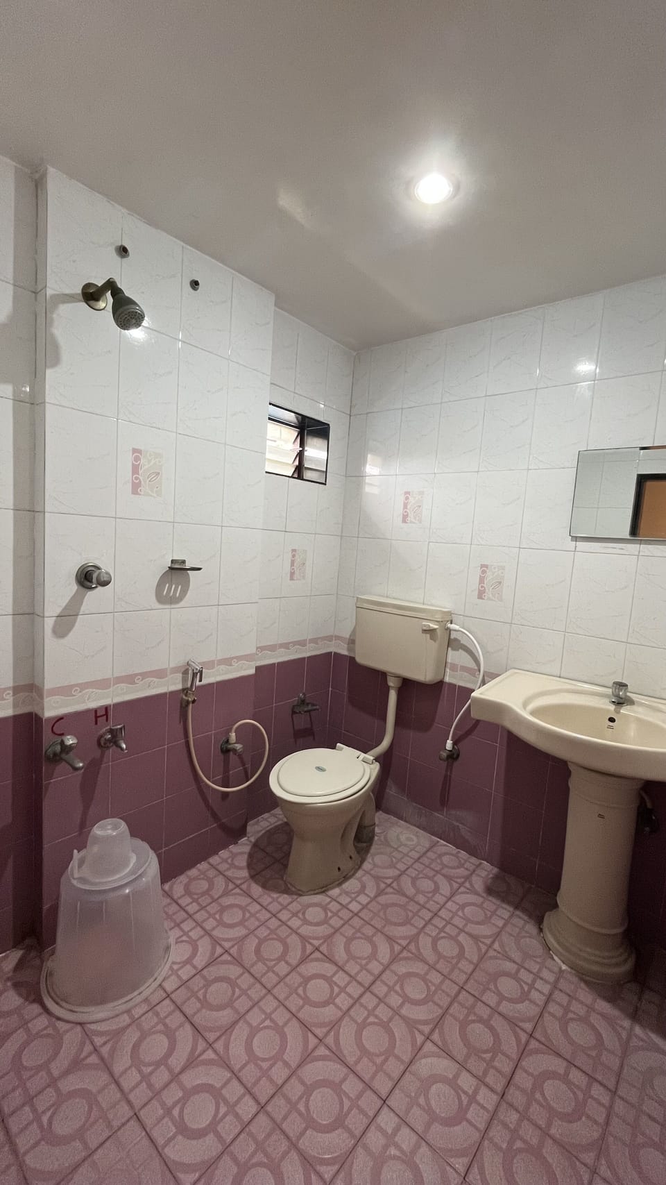 Shower, free toiletries, bidet, towels