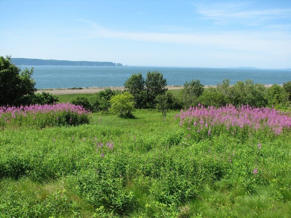 View to Cape Split from proerty