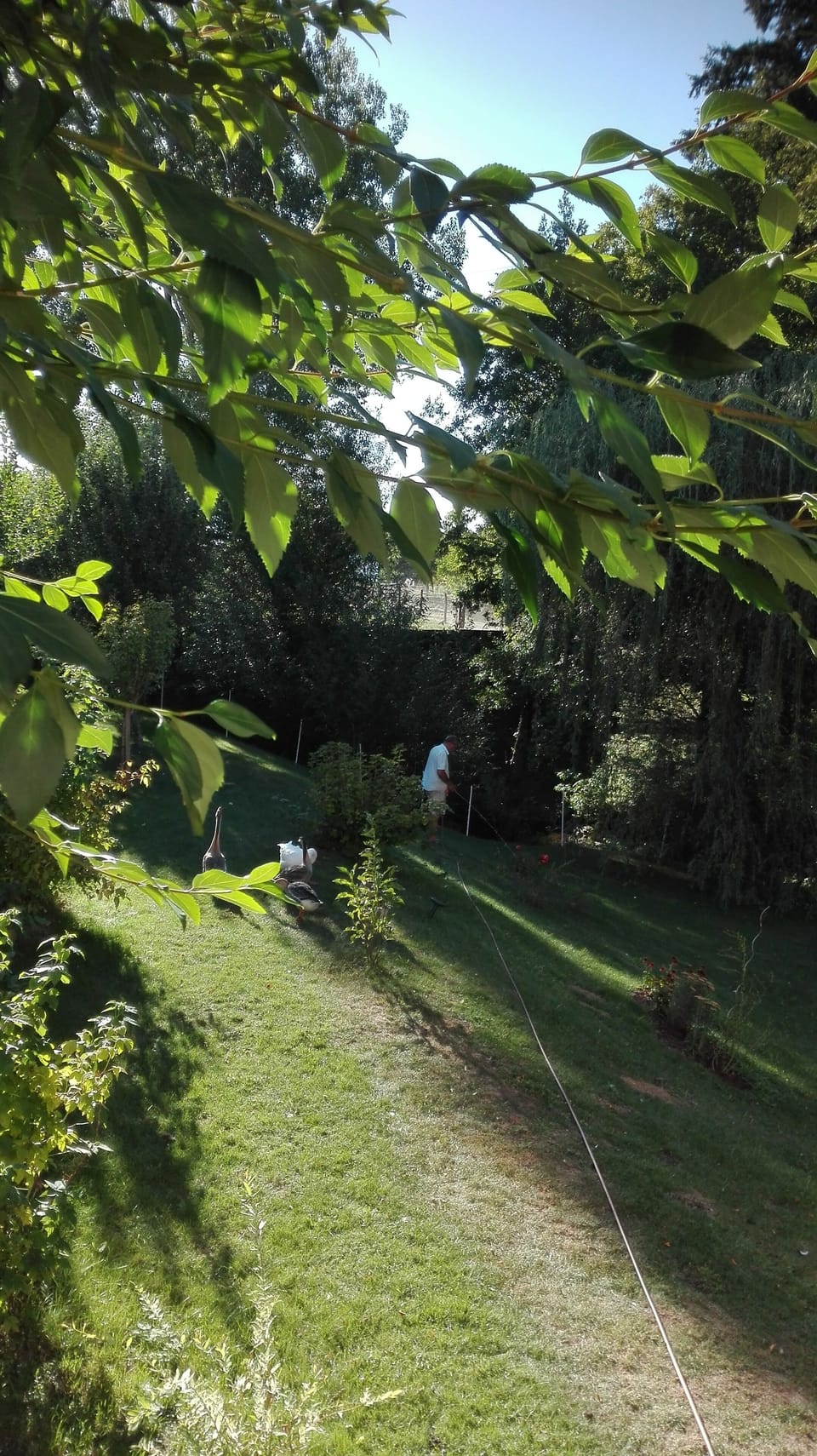 Property grounds